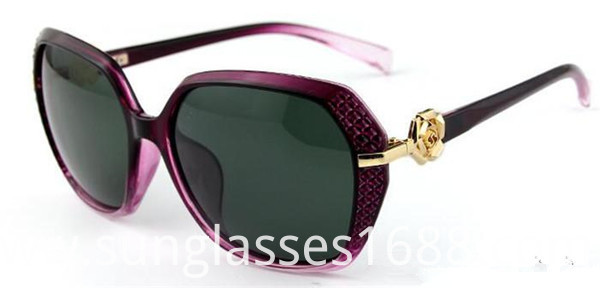 Popular Special Sunglasses Popular Special Sunglasses